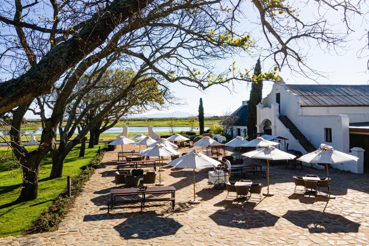Vergenoegd Loew Boutique Hotel & Spa Cape Town Exterior photo