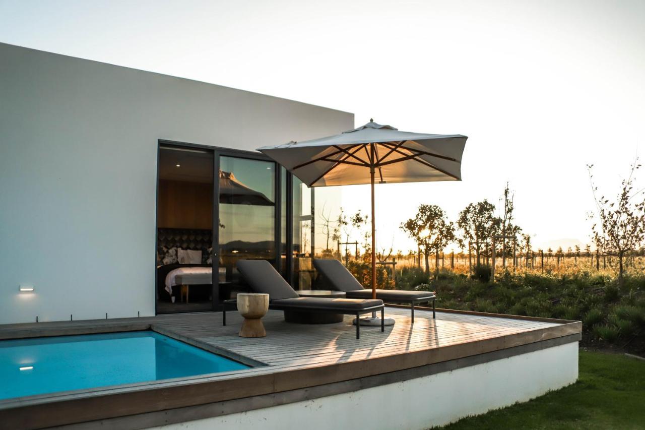 Vergenoegd Loew Boutique Hotel & Spa Cape Town Exterior photo