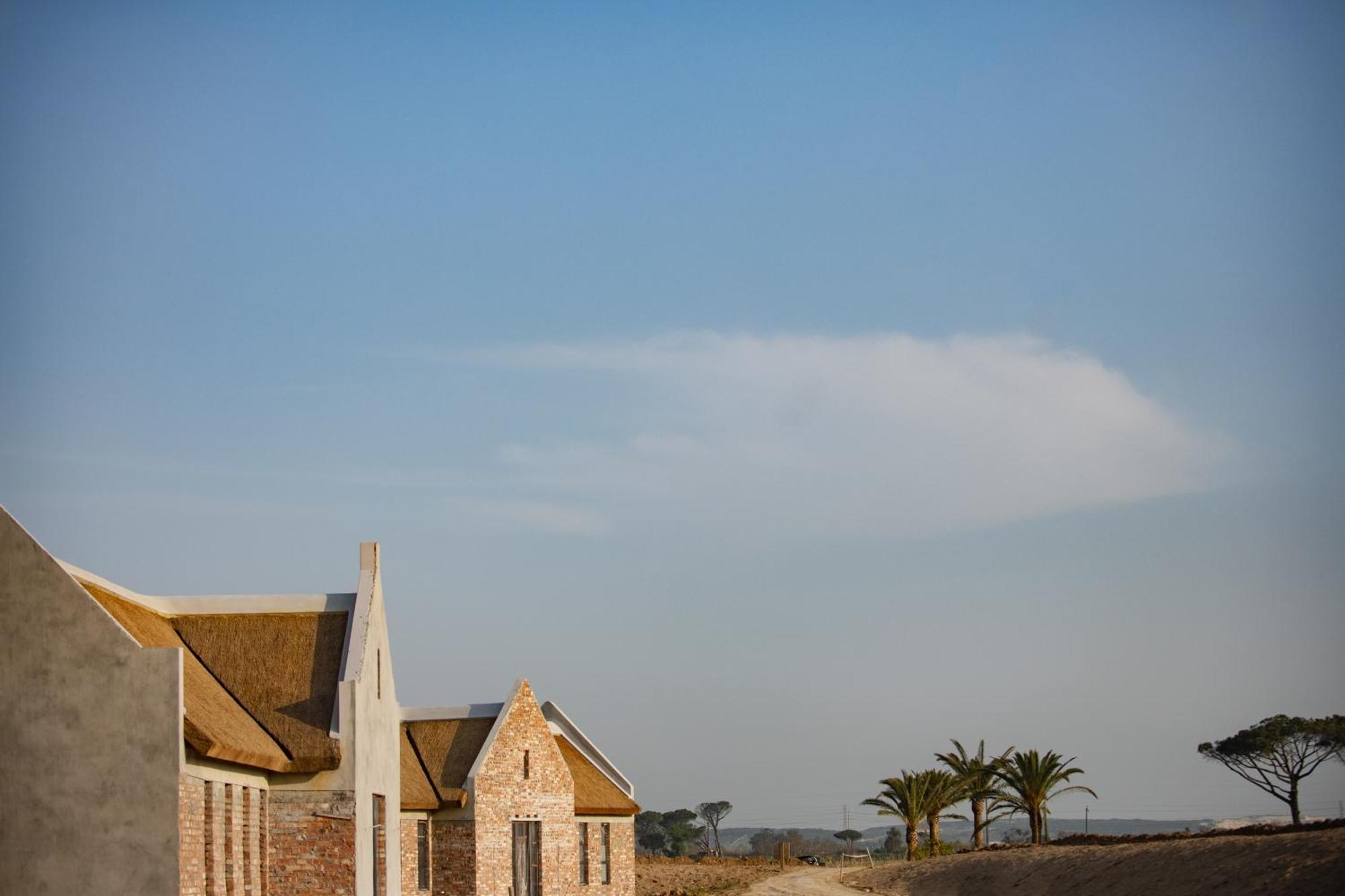 Vergenoegd Loew Boutique Hotel & Spa Cape Town Exterior photo